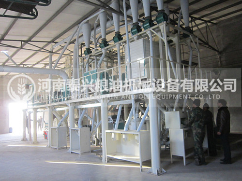 河北50噸玉米加工設備安裝案例